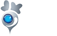 LOBO EV